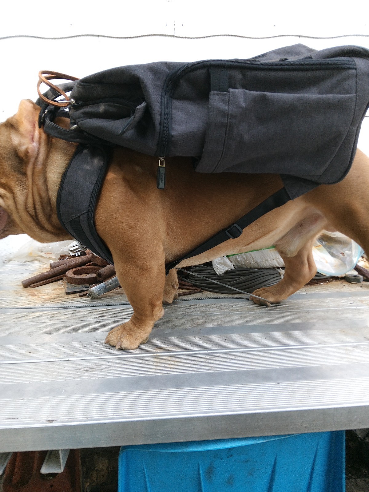 tool holder insert and backpack, sturdy straps, no tools, removable